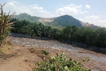 Land for Sale (Zoning: Agriculture) @ Parit Melana, Alor Gajah, Melaka