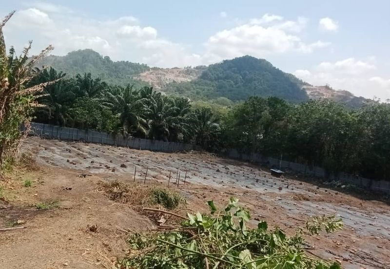 Land for Sale (Zoning: Agriculture) @ Parit Melana, Alor Gajah, Melaka