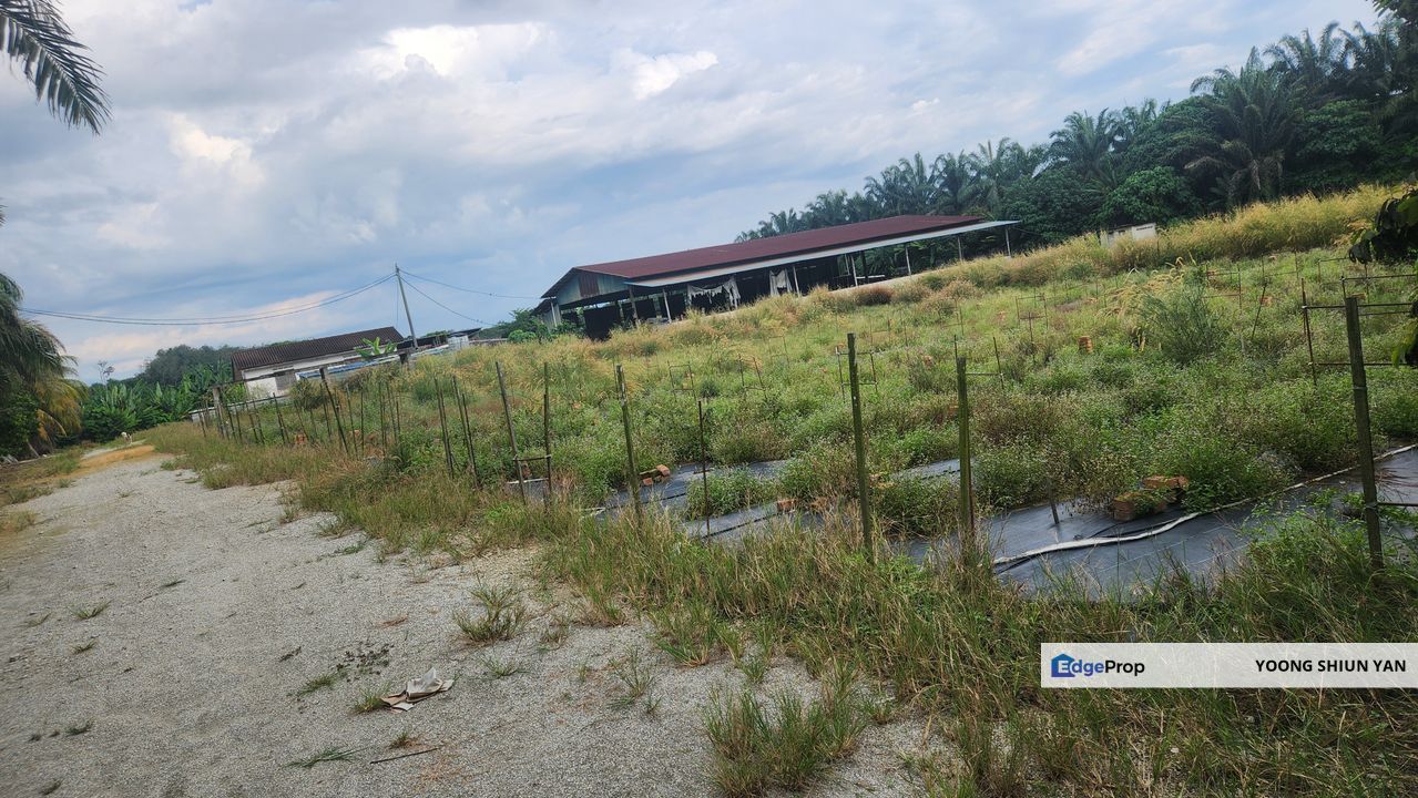 Land for Sale (Zoning: Agriculture) @ Parit Melana, Alor Gajah, Melaka, Melaka, Alor Gajah