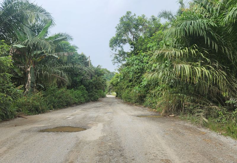 Land for Sale (Zoning: Agriculture) @ Parit Melana, Alor Gajah, Melaka