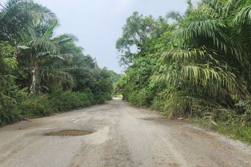 Land for Sale (Zoning: Agriculture) @ Parit Melana, Alor Gajah, Melaka