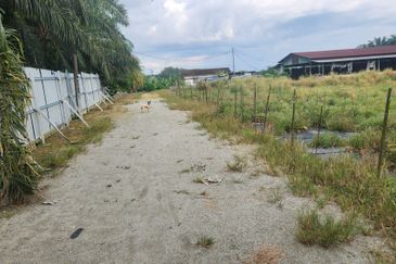 Land for Sale (Zoning: Agriculture) @ Parit Melana, Alor Gajah, Melaka