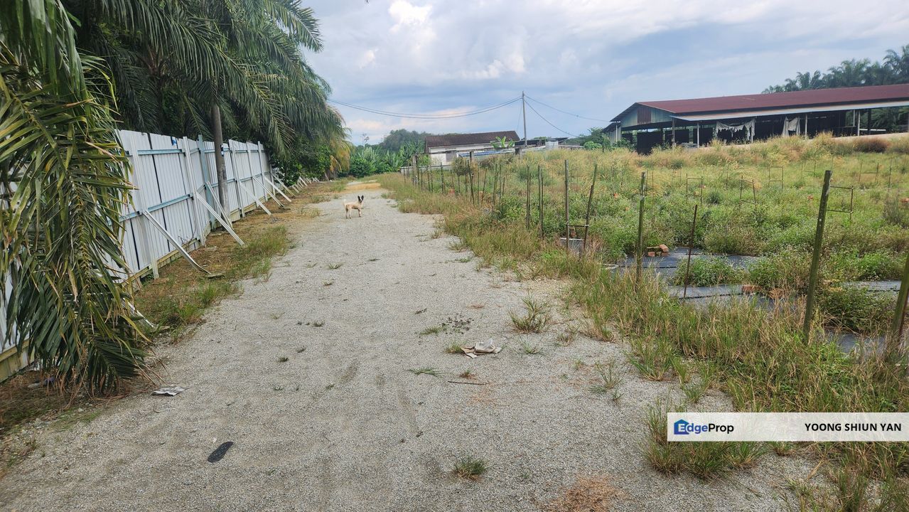 Land for Sale (Zoning: Agriculture) @ Parit Melana, Alor Gajah, Melaka, Melaka, Alor Gajah