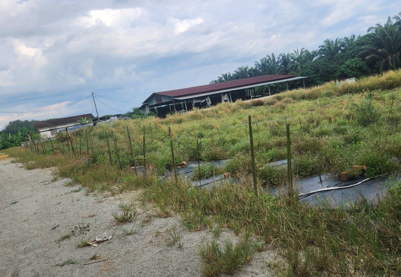 Land for Sale (Zoning: Agriculture) @ Parit Melana, Alor Gajah, Melaka