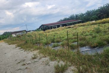 Land for Sale (Zoning: Agriculture) @ Parit Melana, Alor Gajah, Melaka