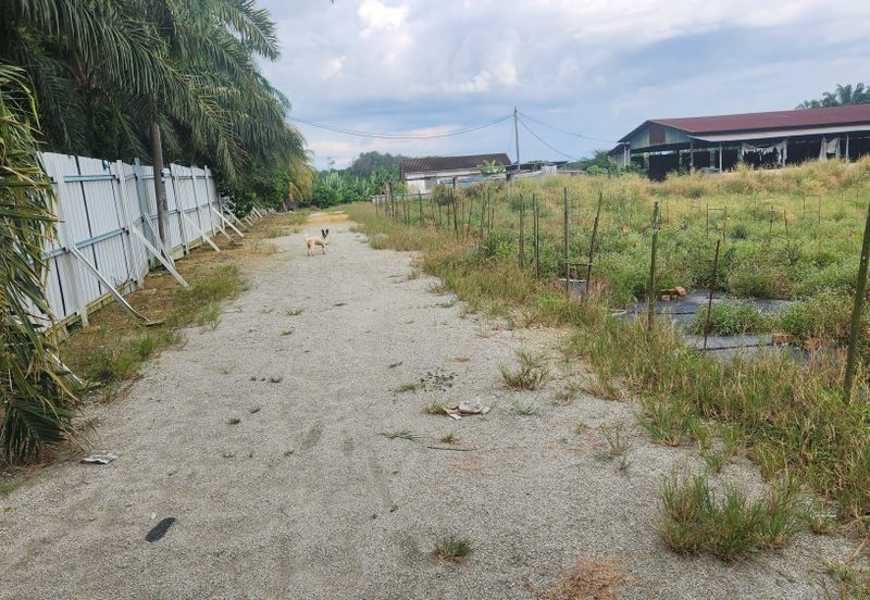 Land for Sale (Zoning: Agriculture) @ Parit Melana, Alor Gajah, Melaka