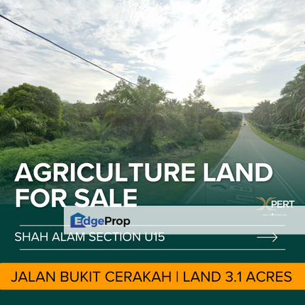 Agricultural Land for Sale @ Jalan Bukit Cherekah, Shah Alam U15, Selangor, Shah Alam