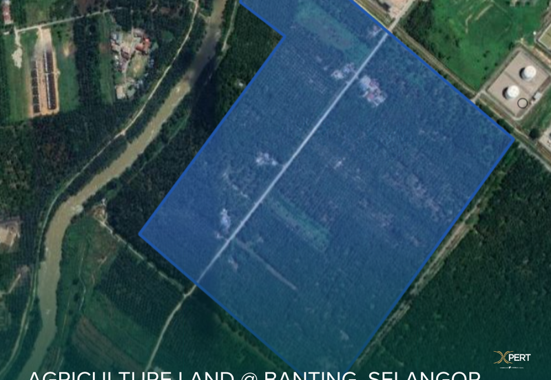 128 acres Freehold Land @ Banting, Selangor