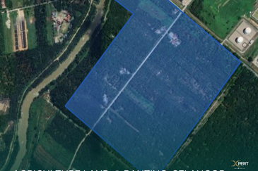 128 acres Freehold Land @ Banting, Selangor