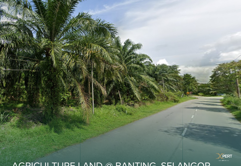 128 acres Freehold Land @ Banting, Selangor