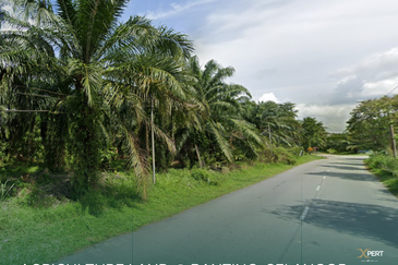 128 acres Freehold Land @ Banting, Selangor