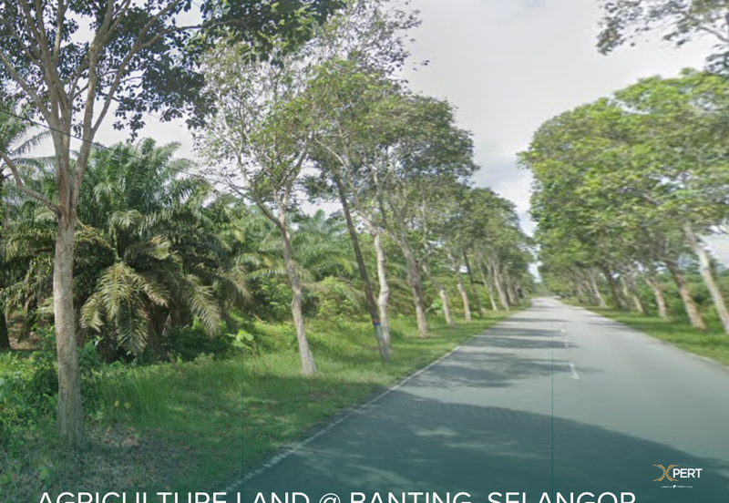 58 acres Freehold Land @ Banting, Selangor