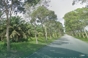58 acres Freehold Land @ Banting, Selangor