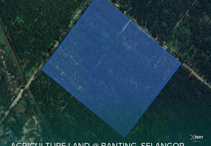 58 acres Freehold Land @ Banting, Selangor