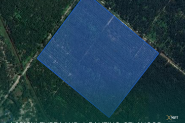 58 acres Freehold Land @ Banting, Selangor