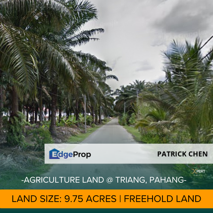 9.75 acres Freehold Land @ Triang, Pahang, Pahang, Triang