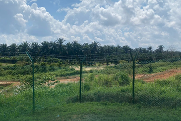 Senai Industrial Park