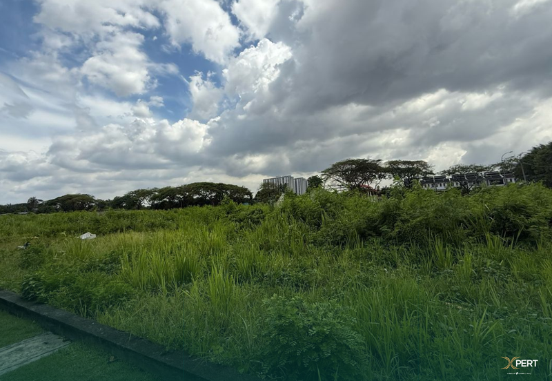 Elmina Green Three @ City of Elmina