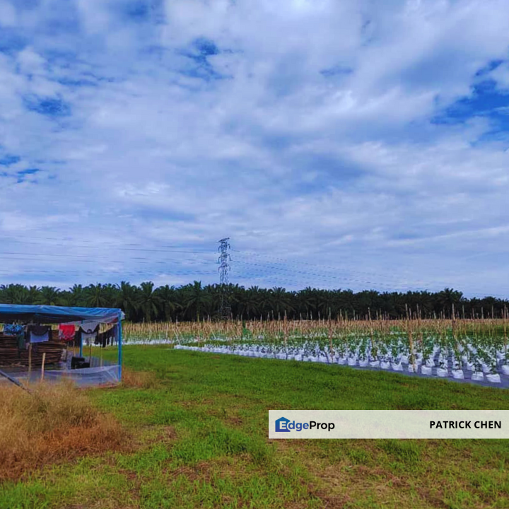 Freehold Potential Development Land for Sales @ Taiping, Perak, Perak, Taiping