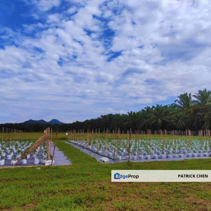 Freehold Potential Development Land for Sales @ Taiping, Perak, Perak, Taiping