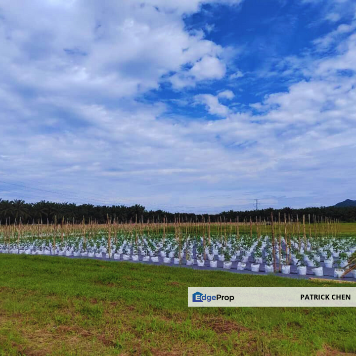 Freehold Potential Development Land for Sales @ Taiping, Perak, Perak, Taiping