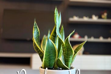 VISTA RESIDENCES, GENTING PERMAI AVENUE