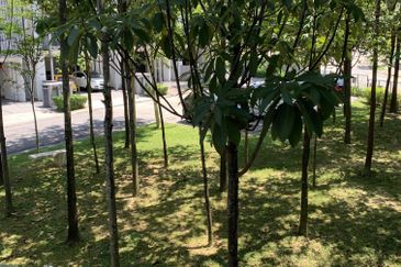 Desa ParkCity (Casaman)