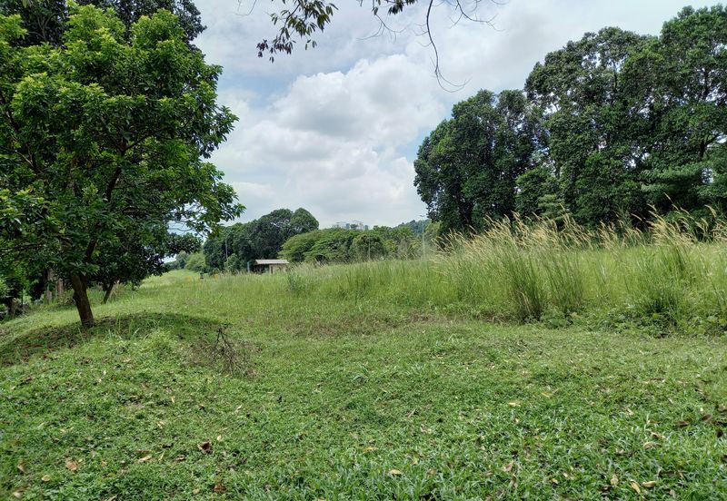 Agriculture Land At Puchong, Puchong Jaya,Selangor