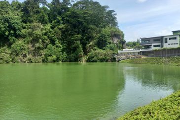 Forest Hill Residence Damansara Perdana 