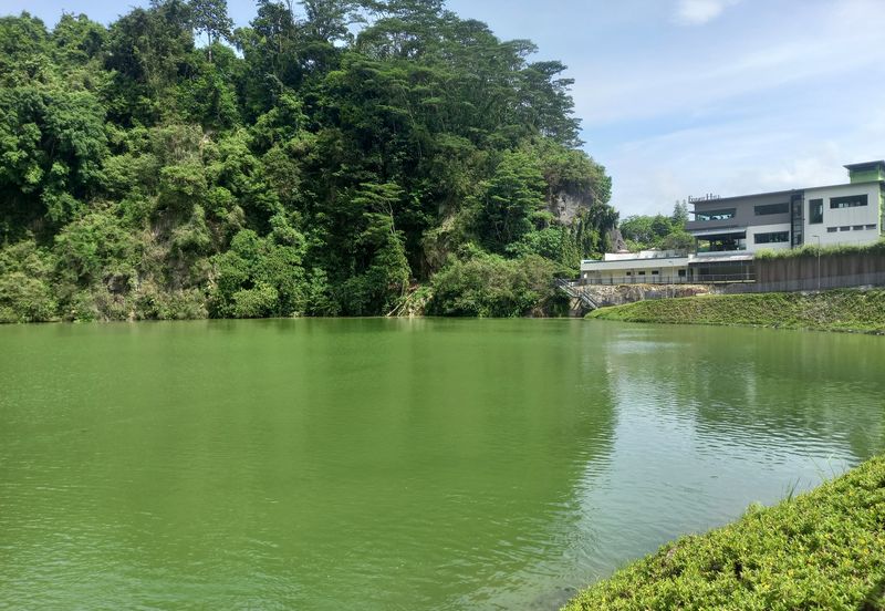 Forest Hill Residence Damansara Perdana 