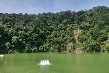 Forest Hill Residence Damansara Perdana 