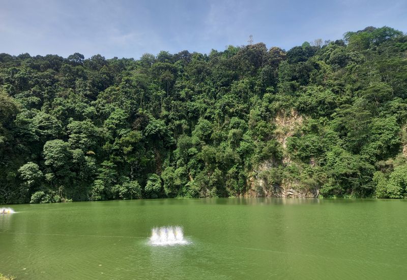 Forest Hill Residence Damansara Perdana 