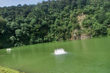 Forest Hill Residence Damansara Perdana 