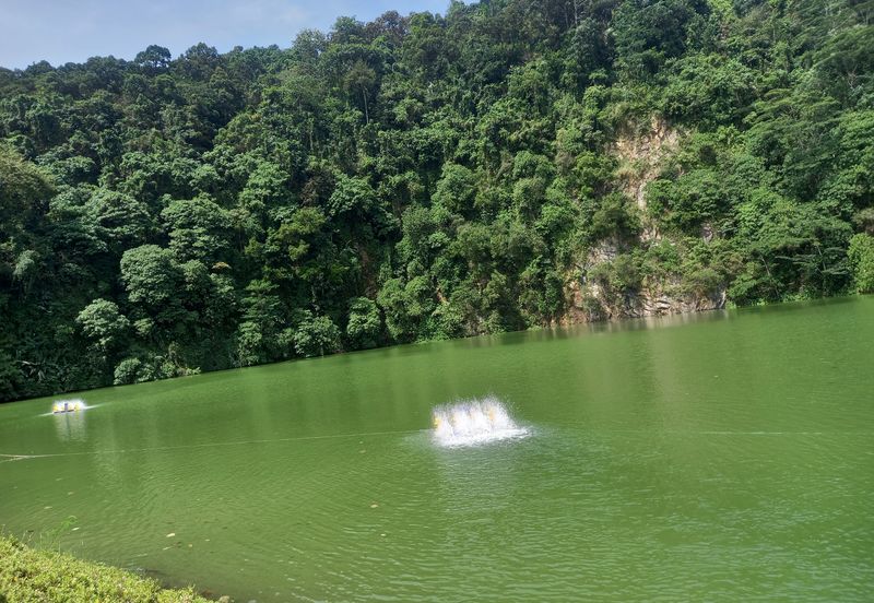 Forest Hill Residence Damansara Perdana 