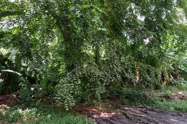 Bungalow Land @ Bukit Gasing , Section 5 Petaling Jaya, Selangor .