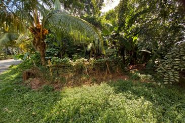 Bungalow Land @ Bukit Gasing , Section 5 Petaling Jaya, Selangor .