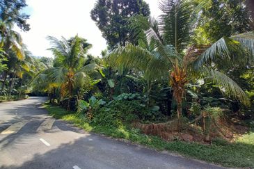 Bungalow Land @ Bukit Gasing , Section 5 Petaling Jaya, Selangor .