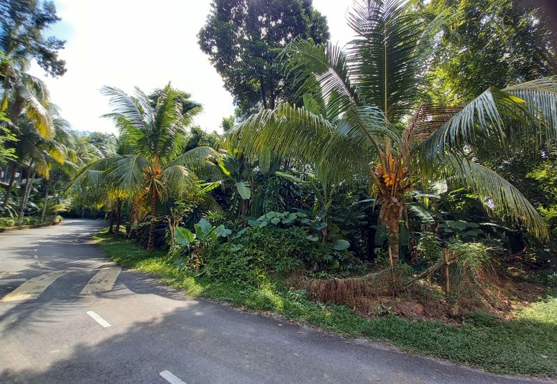 Bungalow Land @ Bukit Gasing , Section 5 Petaling Jaya, Selangor .