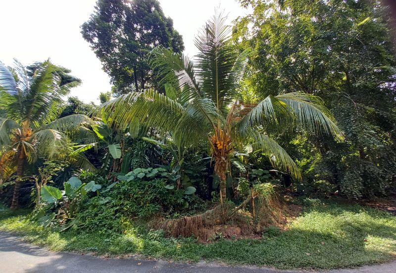 Bungalow Land @ Bukit Gasing , Section 5 Petaling Jaya, Selangor .