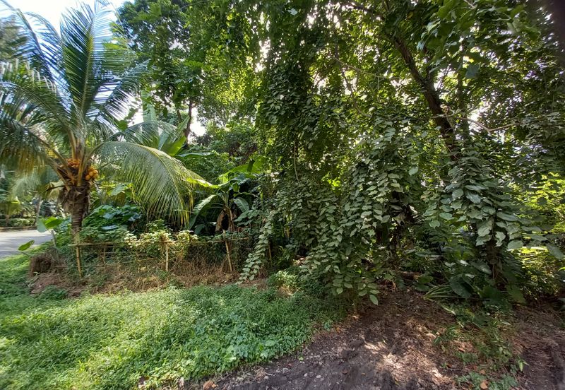 Bungalow Land @ Bukit Gasing , Section 5 Petaling Jaya, Selangor .