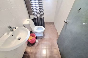 Jalan Cemara, Bandar Botanik