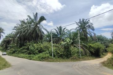 Bukit Damar