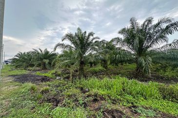 SEBELAH RIMBAYU | Tanah 2.2 Ekar Tanjung Dua Belas Kuala Langat