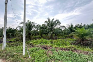 SEBELAH RIMBAYU | Tanah 2.2 Ekar Tanjung Dua Belas Kuala Langat