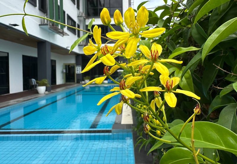 Sekinchan Business Centre