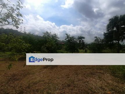 4.66 Acre Freehold NON BUMI Agriculture Land Jende, Selangor, Sepang