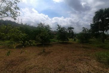 4.66 Acre Freehold NON BUMI Agriculture Land Jende