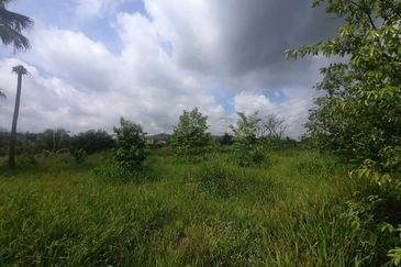 4.66 Acre Freehold NON BUMI Agriculture Land Jende