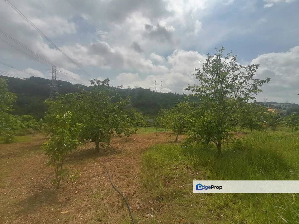 4.66 Acre Freehold NON BUMI Agriculture Land Jende, Selangor, Sepang