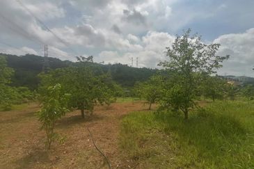 4.66 Acre Freehold NON BUMI Agriculture Land Jende